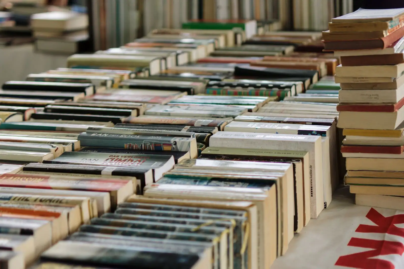 Uzun masalara sıra sıra dizilmiş, sırtları görünen yüzlerce ikinci el ve yeni kitap