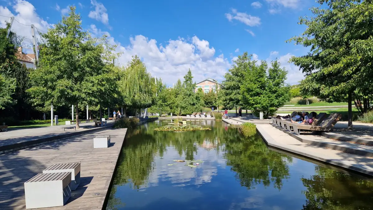 Ağaçlarla çevrili, kenarında ahşap iskele ve banklar bulunan durgun bir park göleti