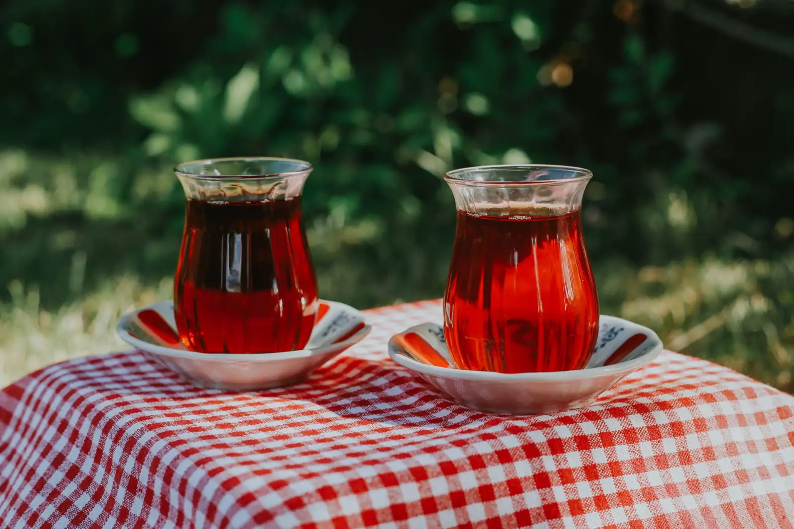 Bahçede kırmızı beyaz kareli örtülü masada, tabakları üzerinde iki ince belli bardak çay