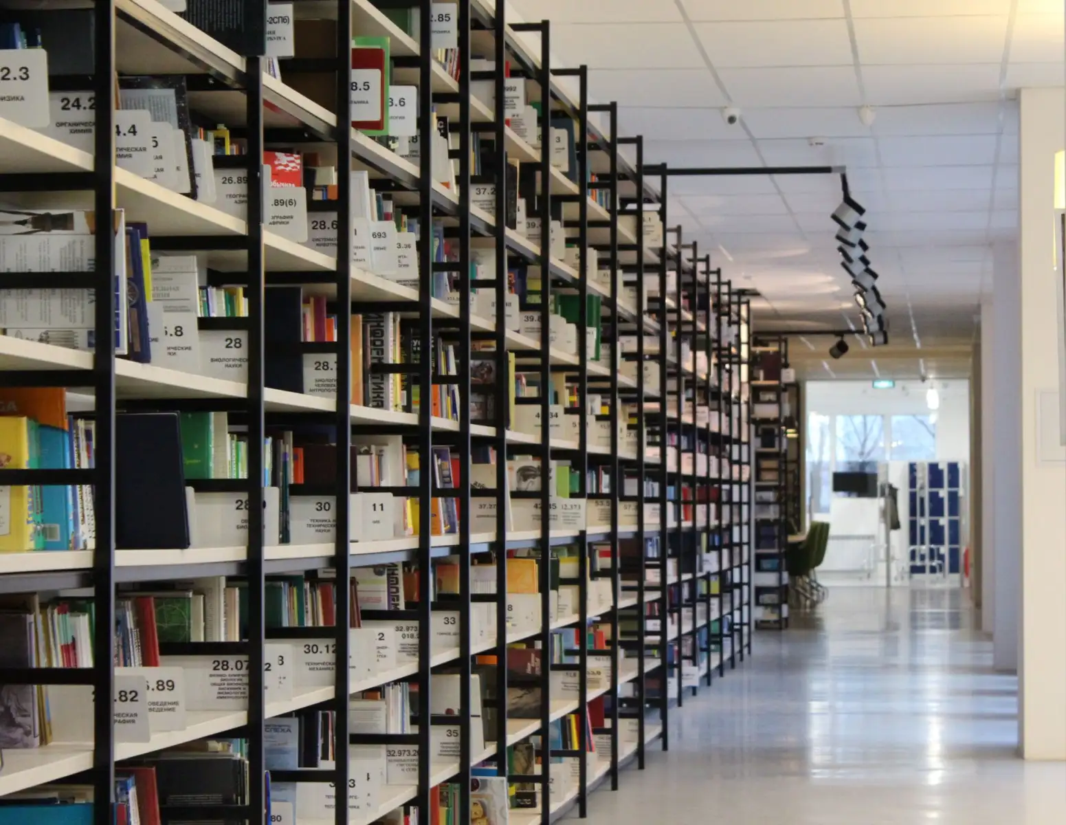 Modern bir kütüphanede uzun bir koridor boyunca sıralanmış kitap rafları